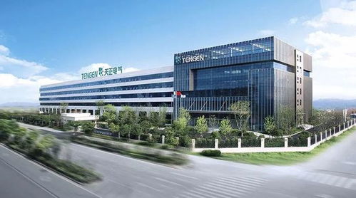 柳市電氣成功上市，“中國電器之都”三巨頭資本市場會師