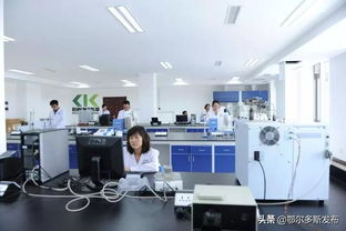 鄂爾多斯再出科技新政 技術(shù)開發(fā)與轉(zhuǎn)讓最高補(bǔ)貼3000萬，賦能區(qū)域創(chuàng)新高地建設(shè)